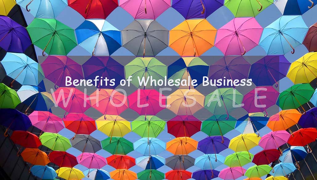 Wholesale Ecommerce: How It Works, Types, and Benefits to