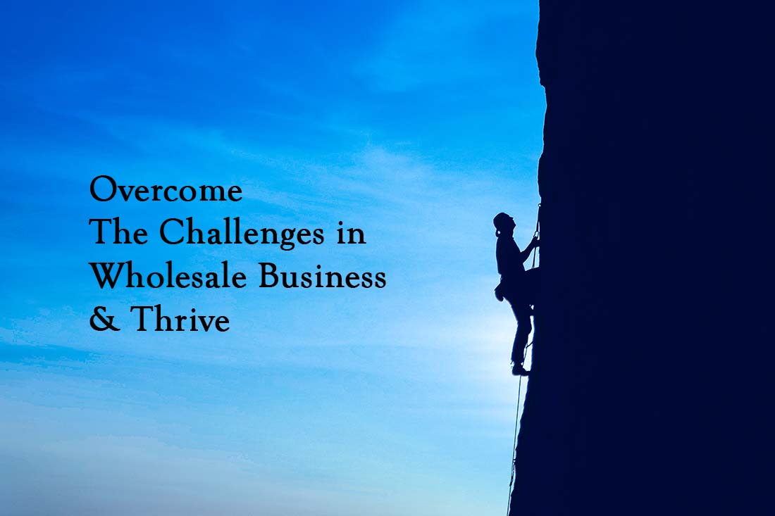 overcome-7-challenges-in-the-wholesale-business