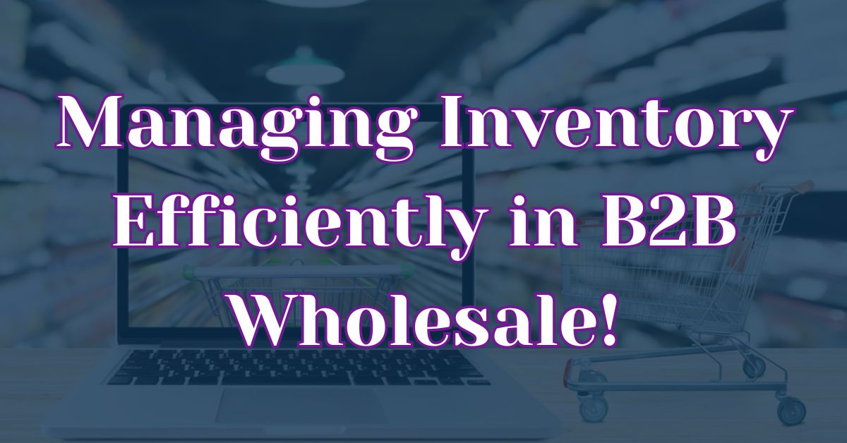 10 Tips for Managing Inventory Efficiently in B2B Wholesale: Know How To Do It Right!