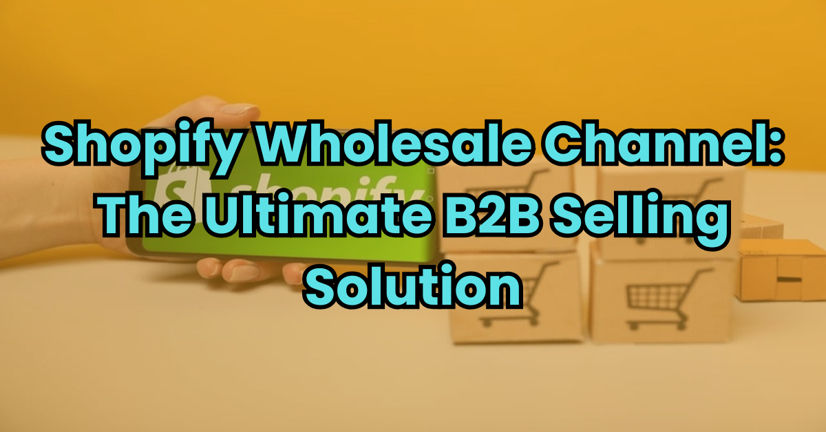 Shopify Wholesale Channel Feature image